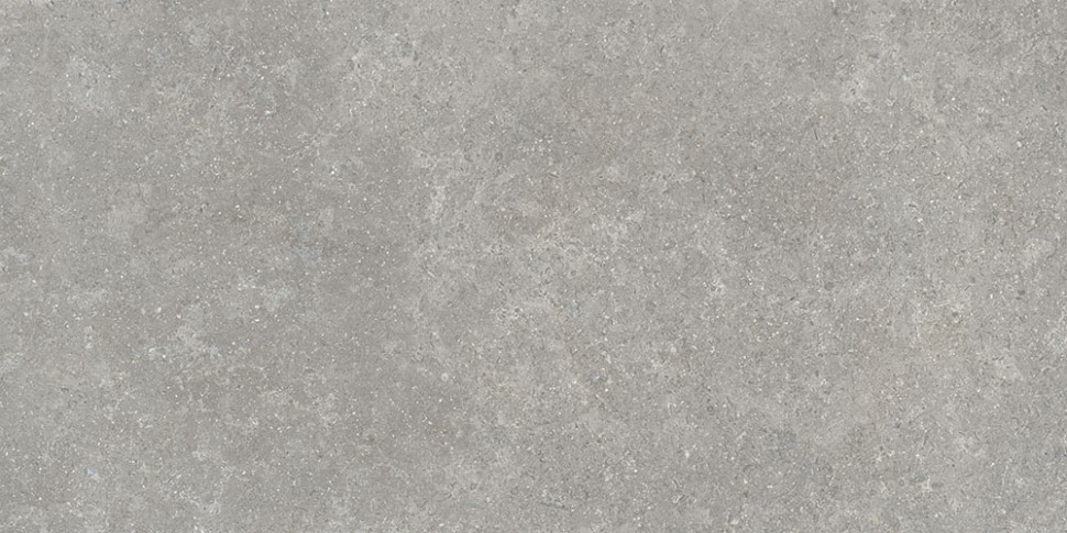 60х120 SandStone Серый Матовый R10A Ректификат