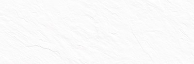 Плитка настенная DELACORA Leon White 246x740 WT15LEN00R