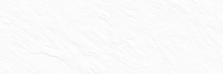 Плитка настенная DELACORA Leon White 246x740 WT15LEN00R