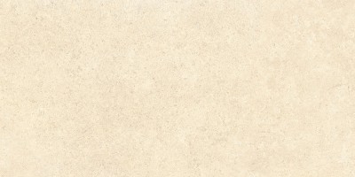 60х120 SandStone Песочный Матовый R10A Ректификат