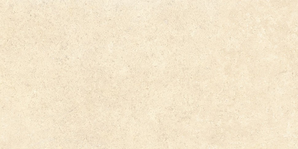 60х120 SandStone Песочный Матовый R10A Ректификат