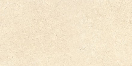 60х120 SandStone Песочный Матовый R10A Ректификат