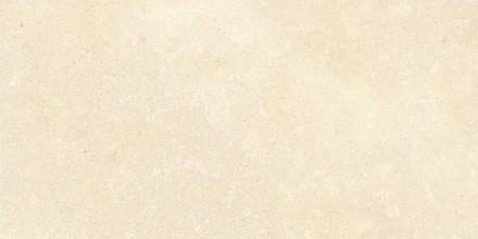 60х120 SandStone Песочный Матовый R10A Ректификат