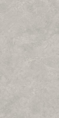 Керамогранит Lightstone Grey Rekt. Polpoler 59,8*119,8