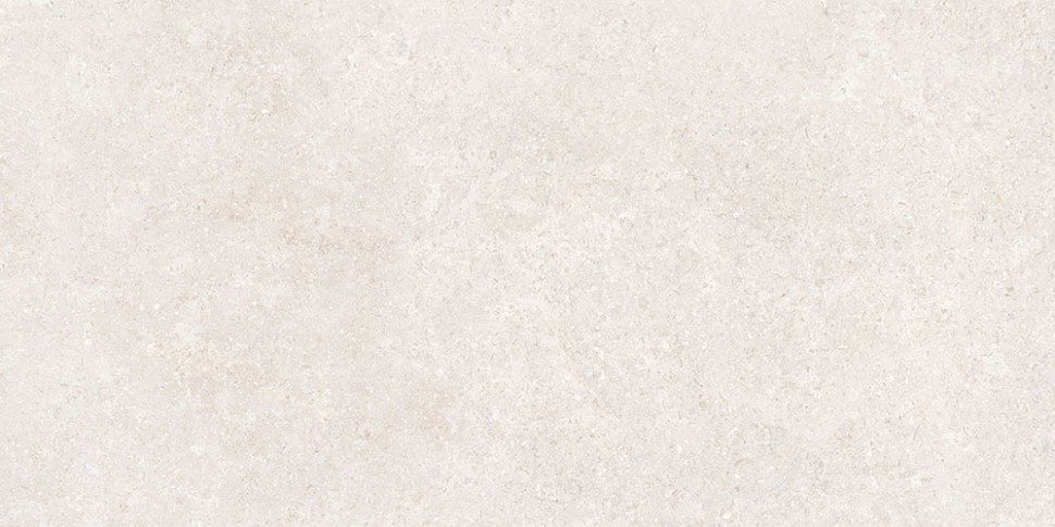 60х120 SandStone Белый Матовый R10A Ректификат