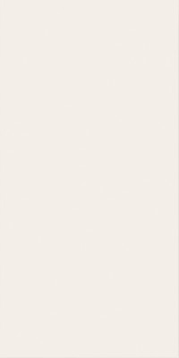 Настенная плита из белой глины WHITE  40*80