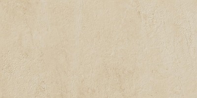 Керамогранит S.S. Ivory 30x60 Wax Матовая