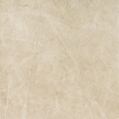 Керамогранит S.S. Ivory 60x60 Wax Матовая