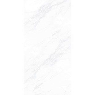 Керамогранит ПАЙЕР ЭЛЕГАНТНЫЙ / PAYER ELEGANT 60*120 матовый
