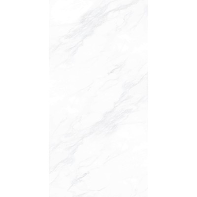 Керамогранит ПАЙЕР ЭЛЕГАНТНЫЙ / PAYER ELEGANT 60*120 матовый