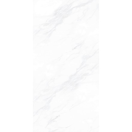 Керамогранит ПАЙЕР ЭЛЕГАНТНЫЙ / PAYER ELEGANT 60*120 матовый