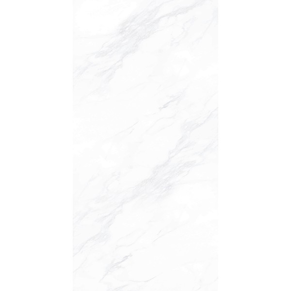 Керамогранит ПАЙЕР ЭЛЕГАНТНЫЙ / PAYER ELEGANT 60*120 матовый