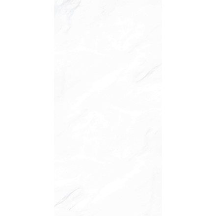 Керамогранит ПАЙЕР ЭЛЕГАНТНЫЙ / PAYER ELEGANT 60*120 матовый