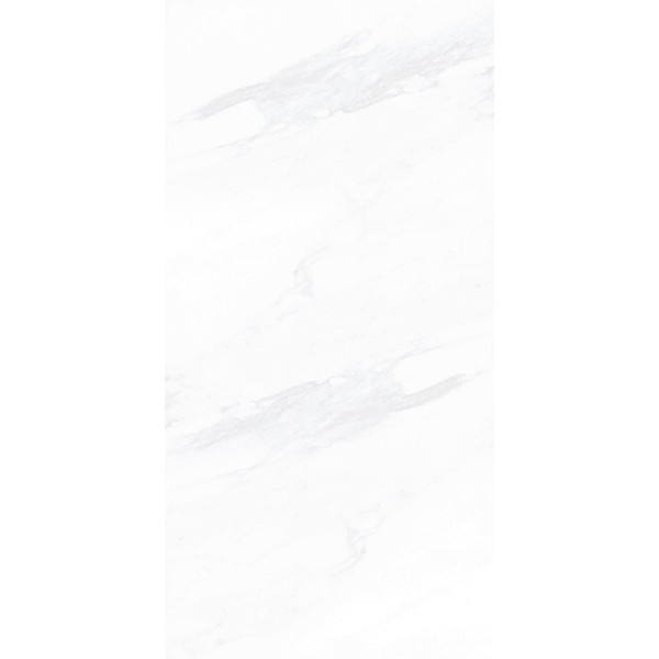 Керамогранит ПАЙЕР ЭЛЕГАНТНЫЙ / PAYER ELEGANT 60*120 матовый