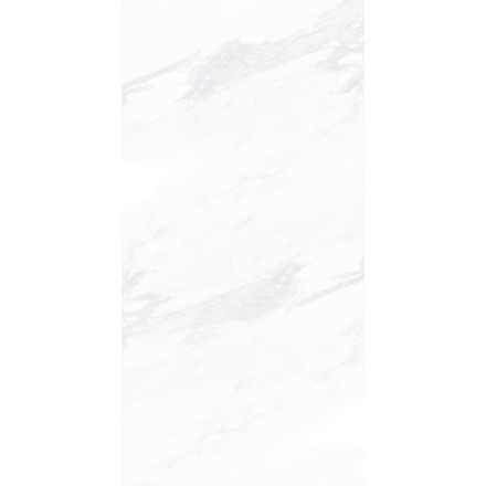 Керамогранит ПАЙЕР ЭЛЕГАНТНЫЙ / PAYER ELEGANT 60*120 матовый