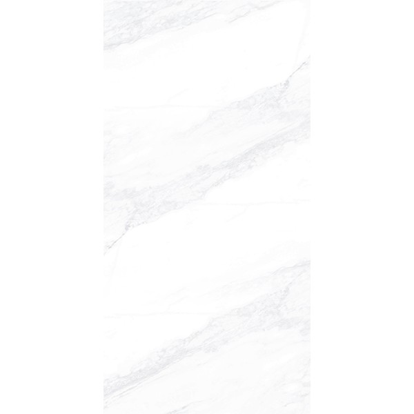Керамогранит ПАЙЕР ЭЛЕГАНТНЫЙ / PAYER ELEGANT 60*120 матовый