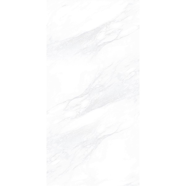 Керамогранит ПАЙЕР ЭЛЕГАНТНЫЙ / PAYER ELEGANT 60*120 матовый