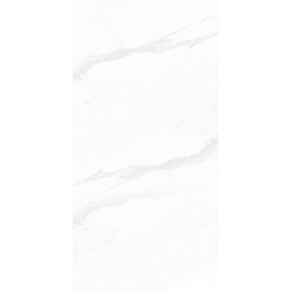 Керамогранит ПАЙЕР ЭЛЕГАНТНЫЙ / PAYER ELEGANT 60*120 матовый