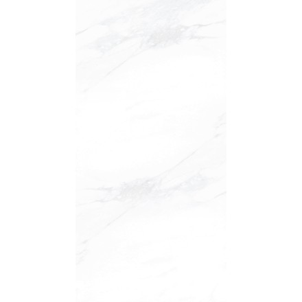 Керамогранит ПАЙЕР ЭЛЕГАНТНЫЙ / PAYER ELEGANT 60*120 матовый