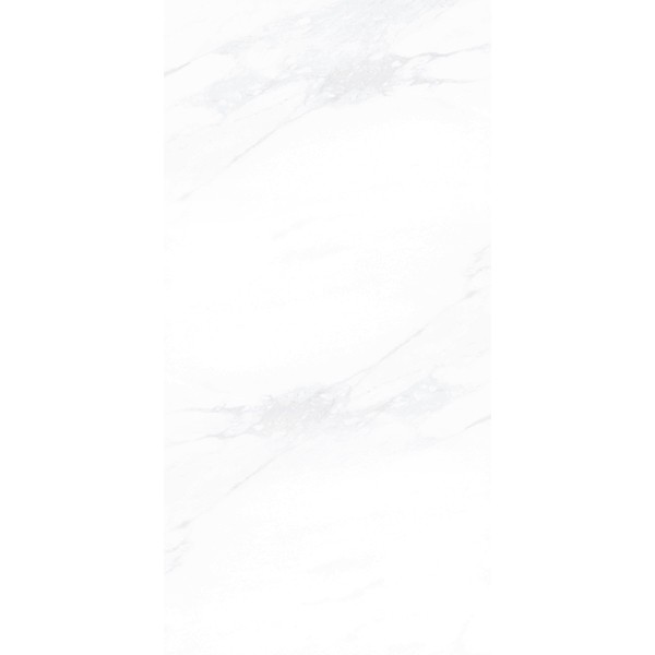 Керамогранит ПАЙЕР ЭЛЕГАНТНЫЙ / PAYER ELEGANT 60*120 матовый