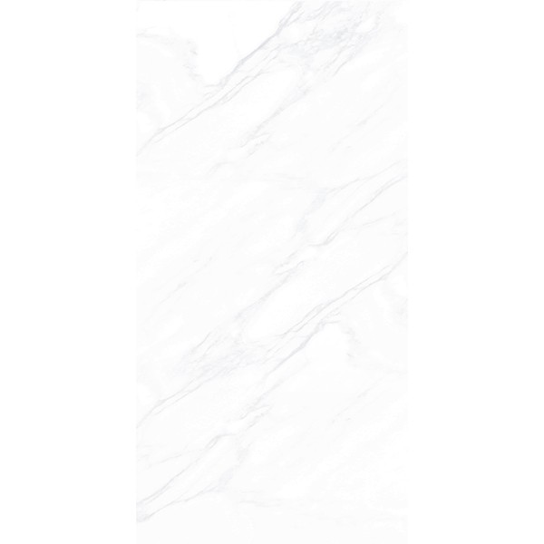 Керамогранит ПАЙЕР ЭЛЕГАНТНЫЙ / PAYER ELEGANT 60*120 матовый