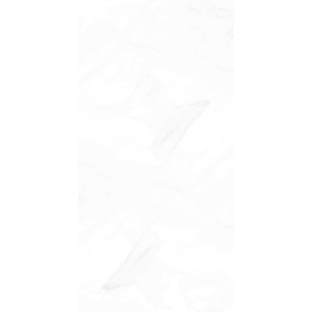 Керамогранит ПАЙЕР ЭЛЕГАНТНЫЙ / PAYER ELEGANT 60*120 матовый