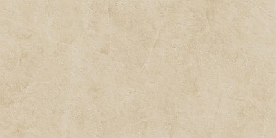 Керамогранит S.S. Ivory 60x120 Wax Матовая