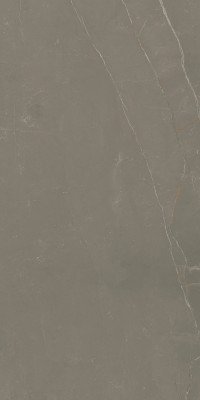 Керамогранит Linearstone Taupe Mat. 59,8*119,8