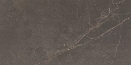 Керамогранит ADRIA MOCHA 60х120