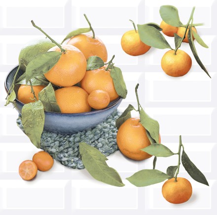 Панно 40,5*40,2 VOGUE Citrus 2 (2 шт)