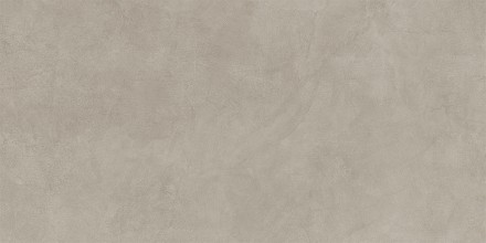 60x120 MicroCement Светлый Греж Матовый R10A