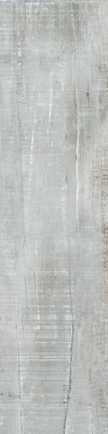КЕРАМОГРАНИТ ГРАНИТЕ ВУД ЭГО СВЕТЛО-СЕРЫЙ SR 29,5*120