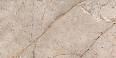 GT1206011001MCR Керамогранит Alcarz_GT Серый Сер. 60x120 карвинг