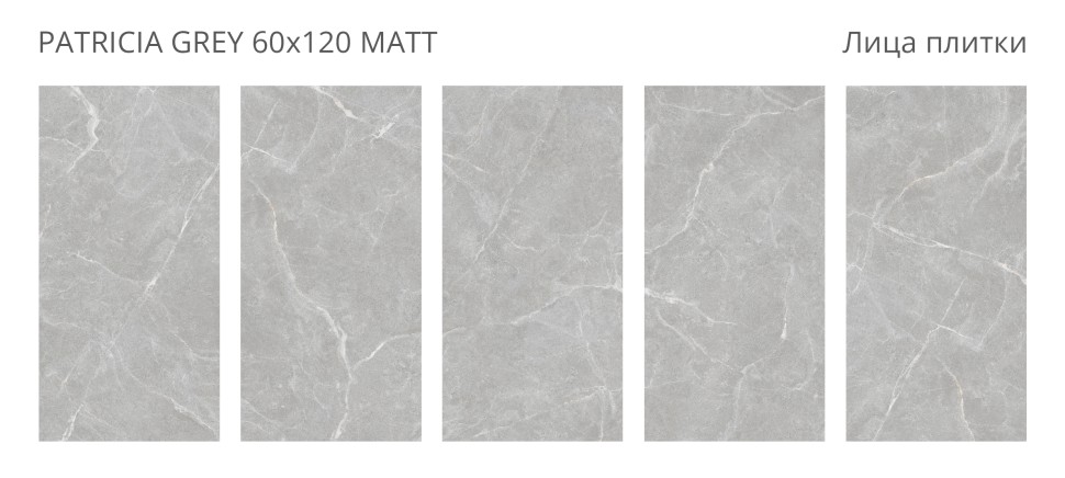 Керамогранит Velvet PATRICIA GREY 60x120 MATT