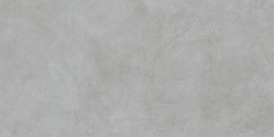 60x120 MicroCement Серый Матовый R10A