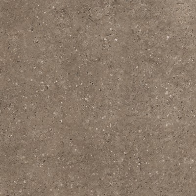 Керамогранит АРКАИМ/ARKAIM BROWN 60*60 матовый