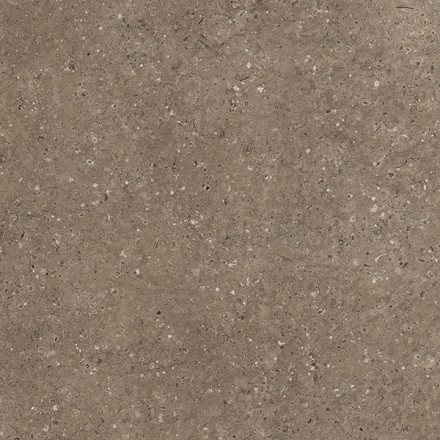 Керамогранит АРКАИМ/ARKAIM BROWN 60*60 матовый