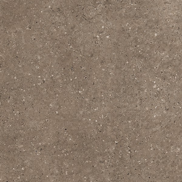 Керамогранит АРКАИМ/ARKAIM BROWN 60*60 матовый