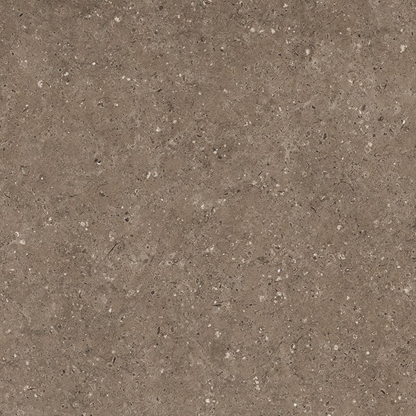 Керамогранит АРКАИМ/ARKAIM BROWN 60*60 матовый