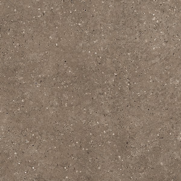 Керамогранит АРКАИМ/ARKAIM BROWN 60*60 матовый