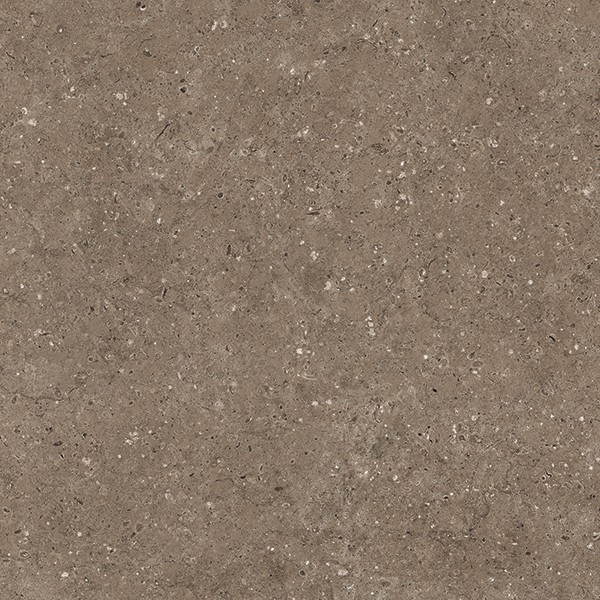 Керамогранит АРКАИМ/ARKAIM BROWN 60*60 матовый