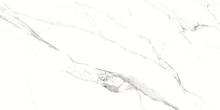 GT1206012003SPR Керамогранит Alfanzo_GT Бел. 60x120