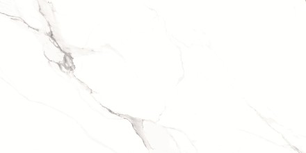 GT1206012003SPR Керамогранит Alfanzo_GT Бел. 60x120