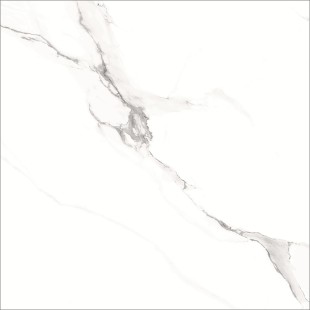 GT606012003SPR Керамогранит Alfanzo_GT Бел. 60x60