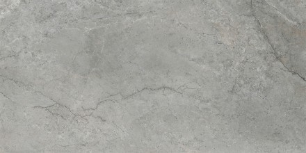 60x120 ArcticStone Серый Матовый R10A