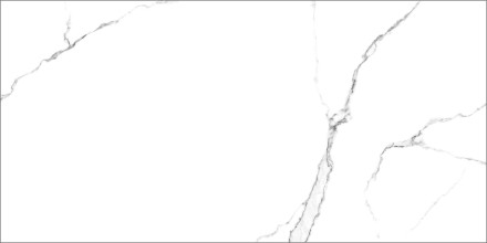 GT120600203MR Плитка грес глаз. Marmo_GT Белый 60*120