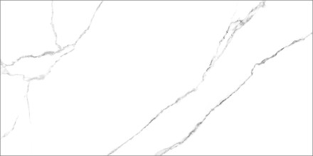 GT120600203MR Плитка грес глаз. Marmo_GT Белый 60*120