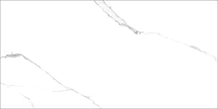 GT120600203MR Плитка грес глаз. Marmo_GT Белый 60*120