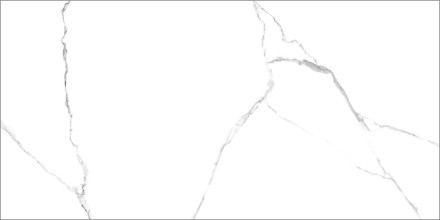 GT120600203MR Плитка грес глаз. Marmo_GT Белый 60*120