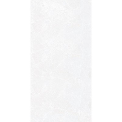 Керамогранит СИНАРА ЭЛЕГАНТНЫЙ / SINARA ELEGANT 60*120 матовый